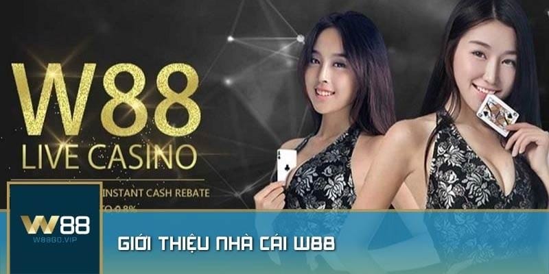 W88 xây dựng theo mô hình chuẩn của 789BET